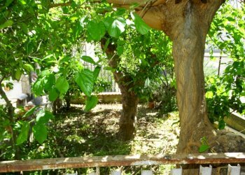 Esterno - Villa Via delle Albicocche 17, Catania - foto 19