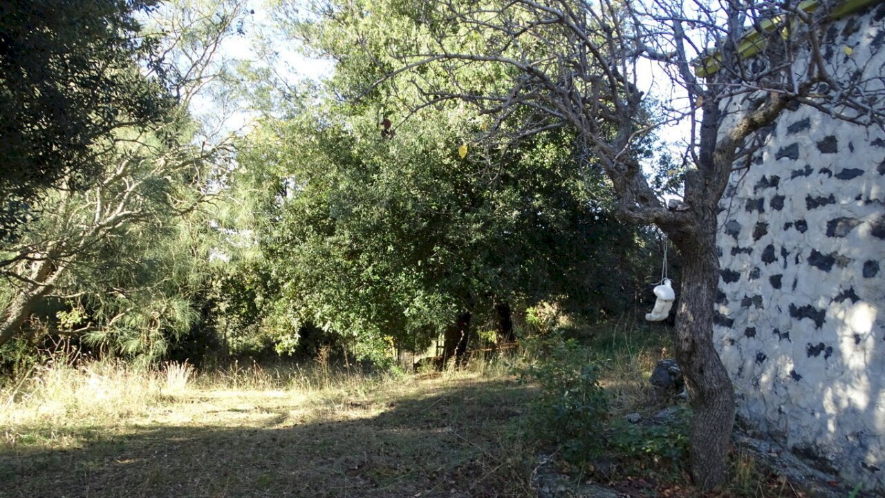DSC01207 (FILEminimizer).JPG - Terreno agricolo SP158, Biancavilla - foto 3