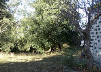DSC01207 (FILEminimizer).JPG - Terreno agricolo SP158, Biancavilla - foto 3