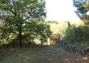 DSC01215 (FILEminimizer).JPG - Terreno agricolo SP158, Biancavilla - foto 11