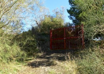 DSC01219 (FILEminimizer).JPG - Terreno agricolo SP158, Biancavilla - foto 15