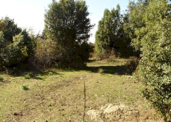 DSC01220 (FILEminimizer).JPG - Terreno agricolo SP158, Biancavilla - foto 16