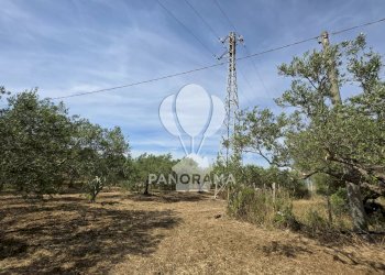 Building land Strada Provinciale, Partinico - photo 1
