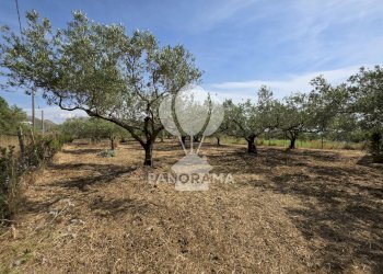 Building land Strada Provinciale, Partinico - photo 2