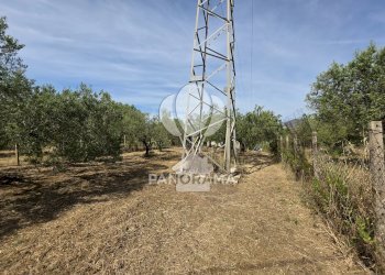 Building land Strada Provinciale, Partinico - photo 3