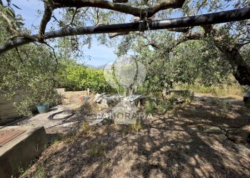 Building land Strada Provinciale, Partinico - photo 6