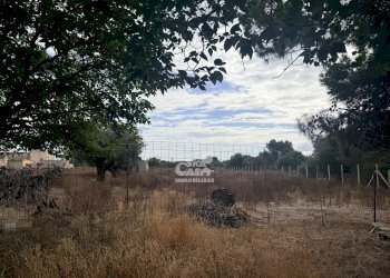Villa Marsala - foto 3