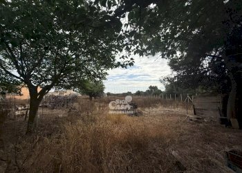 Villa Marsala - foto 5