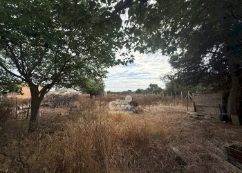 Villa Marsala - foto 6