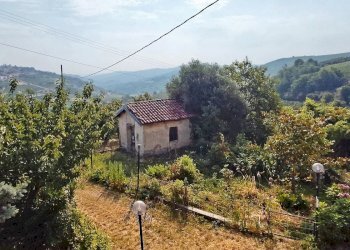 Casale Mango - photo 22