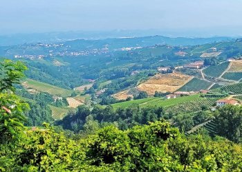 Casale Mango - photo 24