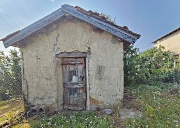 Casale Mango - photo 28