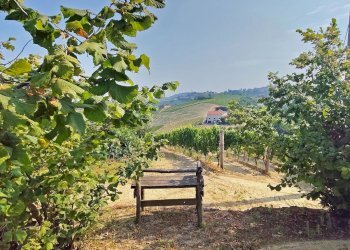 Casale Mango - photo 30