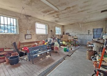 Casale Mango - photo 33