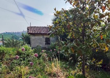 Casale Mango - photo 35