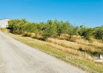 Rustico Strada provinciale 95, 64, Certaldo - foto 10