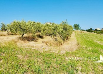Rustico Strada provinciale 95, 64, Certaldo - foto 12