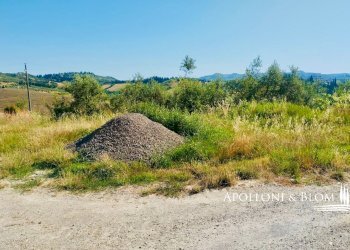 Rustico Strada provinciale 95, 64, Certaldo - foto 14