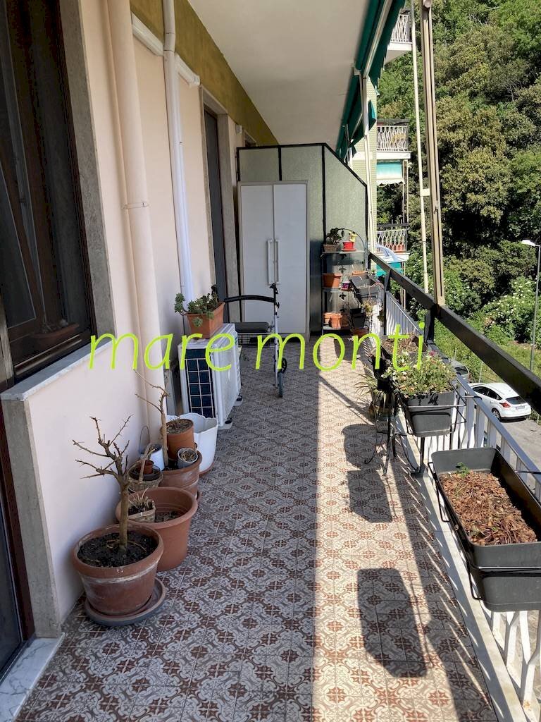 Trilocale Savona - foto 3