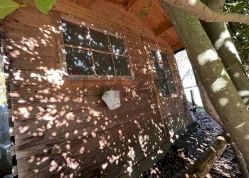 Casa indipendente Via Ferriere, snc 
 Carrodano, Carrodano - foto 22