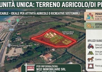 Agricultural land Mondragone - photo 1