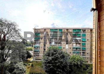 One-room apartment Regio Parco, Torino, Torino (neighborhood Regio Parco) - photo 7