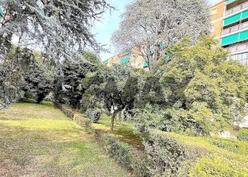 One-room apartment Regio Parco, Torino, Torino (neighborhood Regio Parco) - photo 29