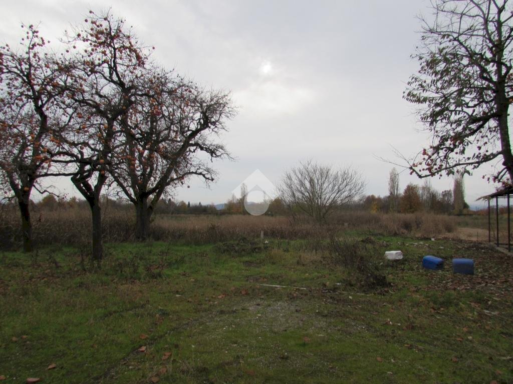Terreno agricolo Via Barozzi Jacopo, San Cesario sul Panaro - foto 1