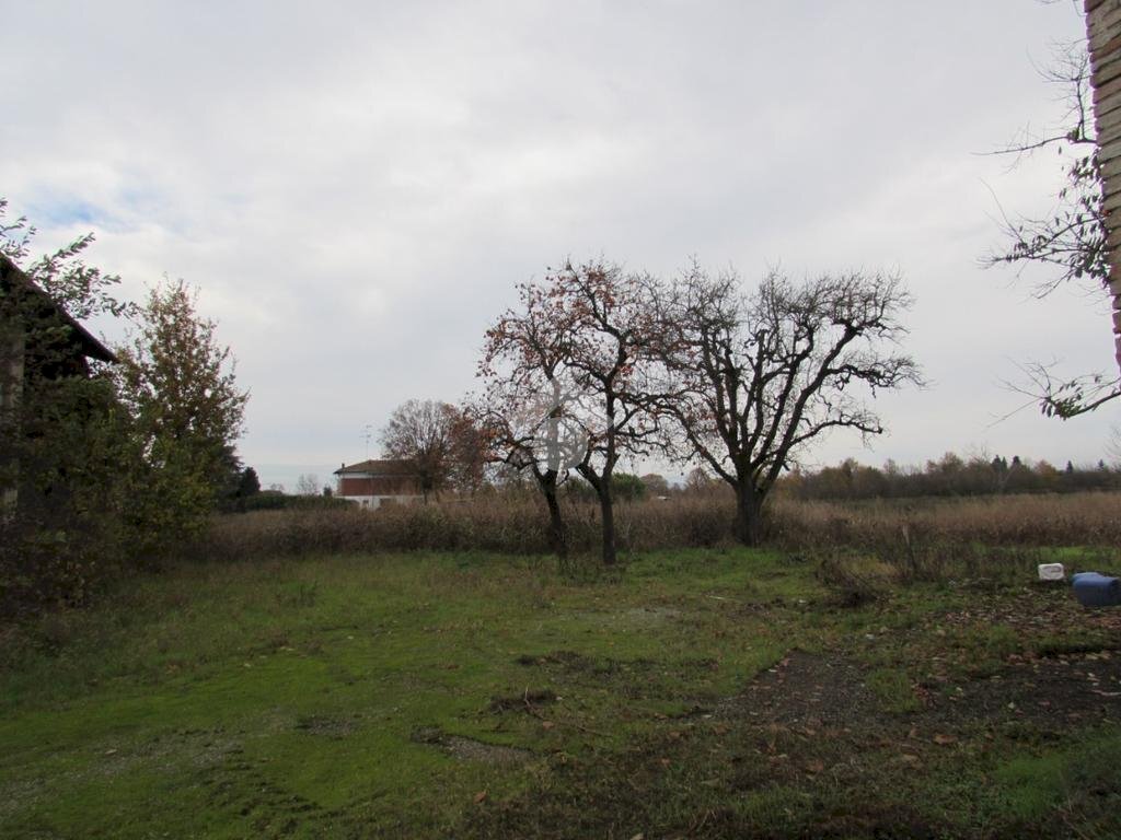 Terreno agricolo Via Barozzi Jacopo, San Cesario sul Panaro - foto 3