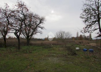 Terreno agricolo Via Barozzi Jacopo, San Cesario sul Panaro - foto 1