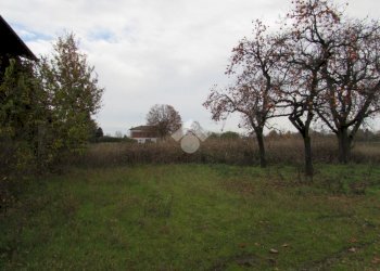 Terreno agricolo Via Barozzi Jacopo, San Cesario sul Panaro - foto 4