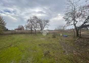 Terreno agricolo Via Barozzi Jacopo, San Cesario sul Panaro - foto 7