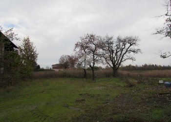 Terreno agricolo Via Barozzi Jacopo, San Cesario sul Panaro - foto 8
