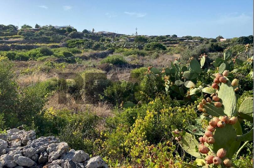 Vista delle montagne - Terreno edificabile VIA del Talu
 
snc, Pantelleria - foto 1