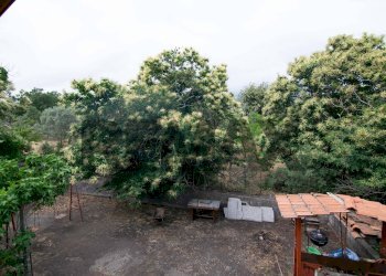 Giardino - Villa Contrada San Leo
 
6, Belpasso - photo 18