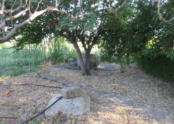 Giardino - Villa via delle Zagare
 
s.n.c., Augusta - foto 10