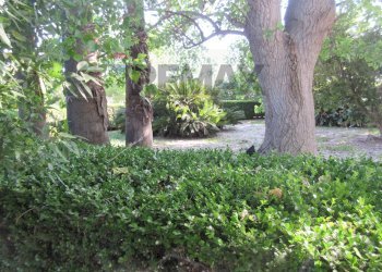Giardino - Villa via delle Zagare
 
s.n.c., Augusta - foto 14