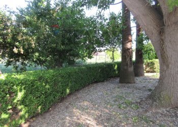 Giardino - Villa via delle Zagare
 
s.n.c., Augusta - foto 37