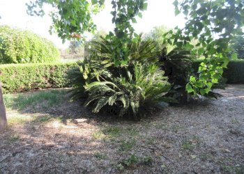 Giardino - Villa via delle Zagare
 
s.n.c., Augusta - foto 38
