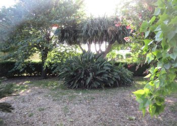 Giardino - Villa via delle Zagare
 
s.n.c., Augusta - foto 39