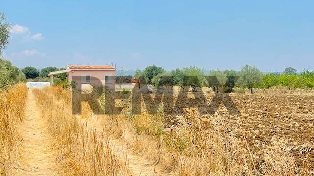 Non correlato - Casa indipendente via per canicattini
 
22, Siracusa - foto 1