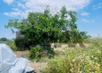 Giardino - Casa indipendente via per canicattini
 
22, Siracusa - foto 19