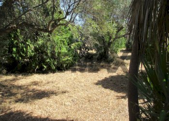 Giardino - Terreno agricolo via salafia
 
s.n.c., Melilli - foto 4