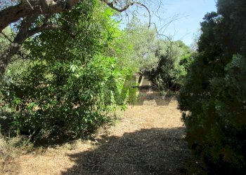 Giardino - Terreno agricolo via salafia
 
s.n.c., Melilli - foto 12