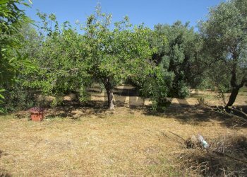 Giardino - Terreno agricolo via salafia
 
s.n.c., Melilli - foto 13