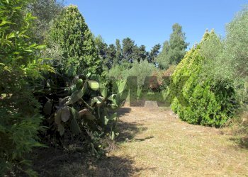 Giardino - Terreno agricolo via salafia
 
s.n.c., Melilli - foto 16