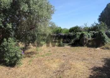 Giardino - Terreno agricolo via salafia
 
s.n.c., Melilli - foto 17