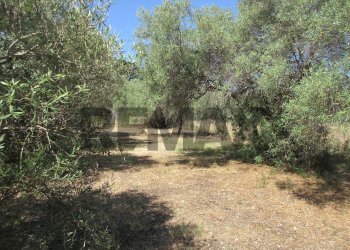 Giardino - Terreno agricolo via salafia
 
s.n.c., Melilli - foto 24