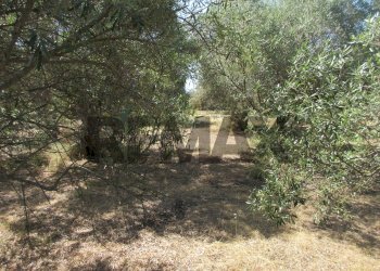 Giardino - Terreno agricolo via salafia
 
s.n.c., Melilli - foto 26