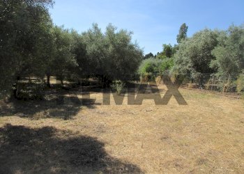 Giardino - Terreno agricolo via salafia
 
s.n.c., Melilli - foto 28
